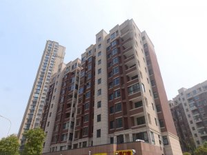 合肥啟迪城慧園小區(qū)玻璃護(hù)欄、樓梯扶手定制