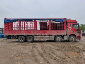 金用護(hù)欄2021年4月27日鋅鋼護(hù)窗欄桿發(fā)貨！